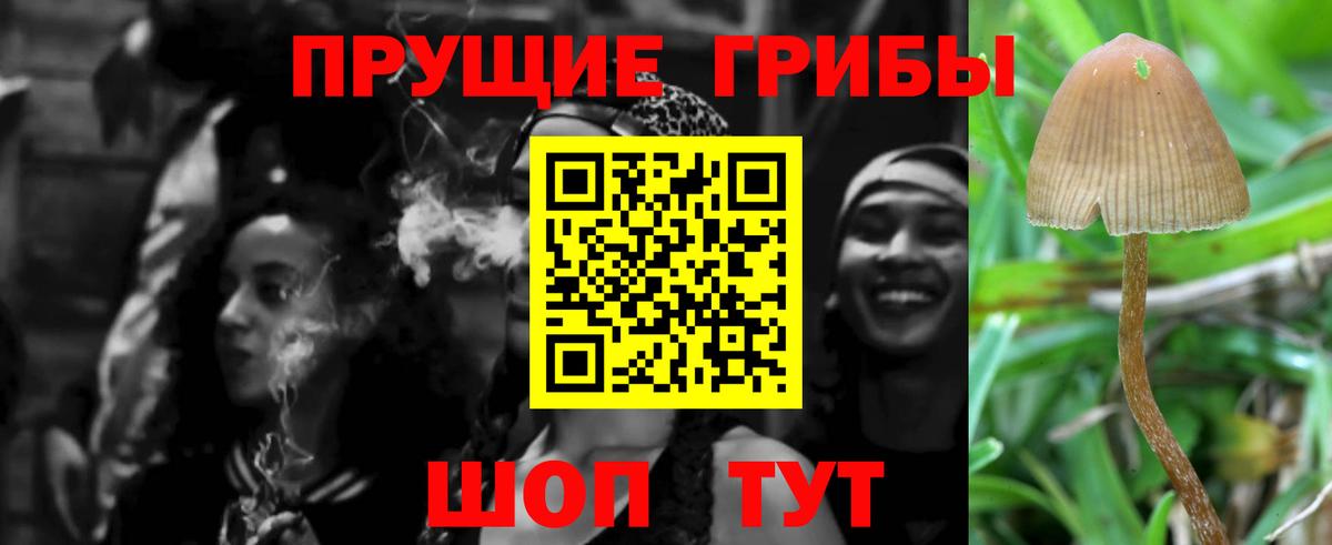 Галлюциногенные грибы прущие грибы  Псилоцибиновые грибы MAGIC MUSHROOMS  Алексеевка  Вход с VPN 